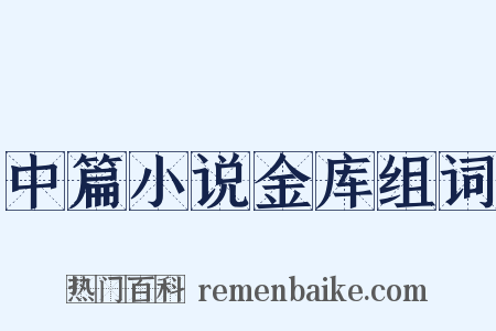 中篇小说金库组词是什么意思的图片